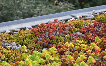 the cost of Croick green roof installation