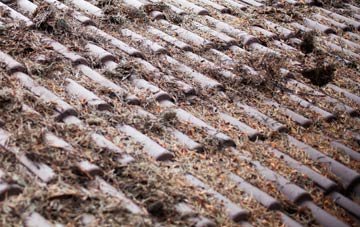 Croick roof cleaning companies