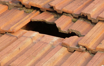 roof repair Croick, Highland