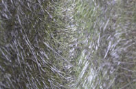 Croick fibreglass roof work