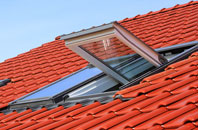Croick roof window